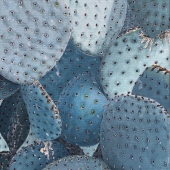 Ava Lambert - “Cactus Cluster” – https://www.instagram.com/artbyavaarchive/