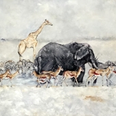 Jan Raats - “Etosha” – http://www.janraats.com/