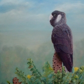 Paula Wiegmink - “I Can See Clearly Now” – https://www.instagram.wiegminkart.com/