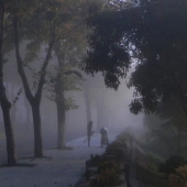 Lazar Sorin Niculae - “Le Chevalier et la Sorciere” – https://www.artmajeur.com/en/lazar-ecofor/presentation