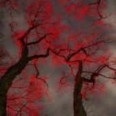 Sigita Lapina - “Others” – http://sigfoto.lv/