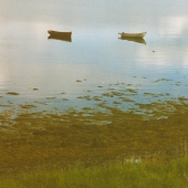 coastkate - “3 Rowboats” – ktgm4@aol.com
