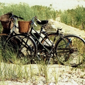Elliott Block - “Ladies Bicycles in Dunes” – http://www.blockfineart.com/