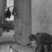 Katherine Briccetti - “Cuba Man and Dog” – http://www.kbriccettiphoto.com/