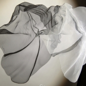 2nd Place – CKCooper - “Desert Dancer” – www.ckcooperart.com