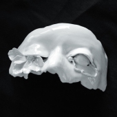 5th Place – Aodan - “My Baby Has Your Eyes” – dao@artic.edu