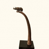 6th Place – K.R. Nariman - “Precarious” – www.krnariman.com