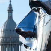 2nd Place – John Diephouse - “Capitol Profile” – jdiephouse@gmail.com