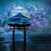 4th Place – Shelley Benjamin - “Asiana” – www.shelleybenjamin.com