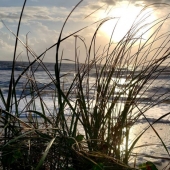 8th Place – Audrey Kriss Berkowitz - “Sunrise” – www.audreykrissphotograhy.com