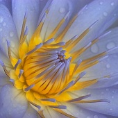 1st Place – Overall - Stephen Mimms - “Beacon” – www.mimmsphotography.com