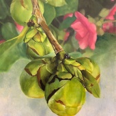 4th Place – Overall - Lynda Sauls - “Camila” – www.lyndasaulsartist.com