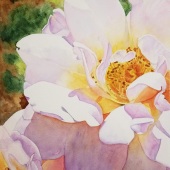 10th Place – Overall - Lisa Freeman-Wood - “Sunny Rose” – lmfreemanwood@yahoo.com