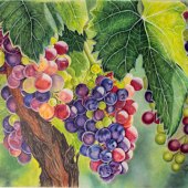 Shannon Bolen - “Blushing” – shannonbolen73@yahoo.com