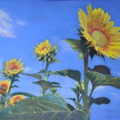 Yu-wei Lin - “Sunny Sunflowers” – yuweiann@gmail.com