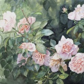 Han Shu - “Rose Garden” – 2089305@qq.com