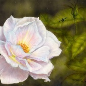 Ginger Gehres - “Twyla Rose” – http://www.gingergehres.com/