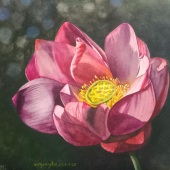 Hongtao Wang - “Lotus” – 2569063278@qq.com