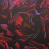Allison Rogers - “Roses in the Dark” – http://www.themilkboxstudio.com/