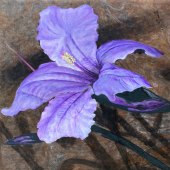 Linda Steele - “The Parrish Hibiscus” – http://steeleorigignals.faso.com/