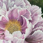 Linda Steele - “Majestic Peonie” – http://steeleorigignals.faso.com/