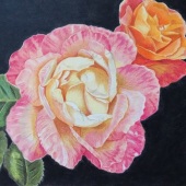 Carole Mcalpine - “Roses” – https://shopvida.com/collections/carolemac7