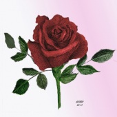 Veronica Russo - “A Single Rose” – vrusso125@gmail.com