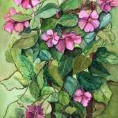 Mary Sue Veerkamp-Schwab - “Clematis Vine” – http://www.marysueschwab.com/