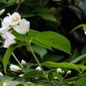 Y. Hope Osborn - “Broach” – http://artworkarchive.com/profile/YHopeOsborn