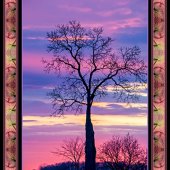 Dick and Rosanne - “Sunrise” – http://www.dickandrosanne.com/