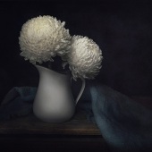 Julie Powell - “Disbuds Still Life” – https://www.juliepowellphoto.com/