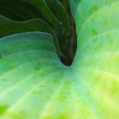 Kip Knott - “Downward” – http://www.kipknott.com/