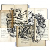 Megan Serene - “Peonies” – http://www.megansereneart.com/