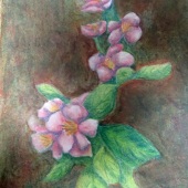 Pat Cabana Silva - “In the Pink” – http://www.patsilvaartstudio.etsy.com/