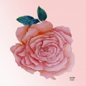 Veronica Russo - “Garden Beauty” – vrusso125@gmail.com