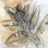 JoAnn Deuel Shelby - “Milkweed” – http://www.snowqueenstudio.com/