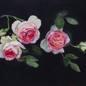 Hongyan Zhang - “Pierr de Ronsard” – 18503770166@163.com