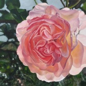 Lisa Fortino - “Light of Hope” – http://www.fluidusart.co.uk/