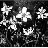 Deborah Kaskinen Crandell - “Midsummer Eve” – https://www.redbubble.com/people/DLKC/shop