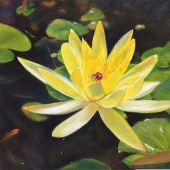 Pishuang Hsiao - “Shiny Life” – bernadethsiao@gmail.com