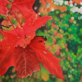 Pamela Clements - “Psithurism” – www.apurpleleaf.com