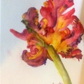 Shirley Allan - “Strength of One” – http://www.shirleyallanartstudio.com/