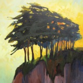 Barbara L Lawrence - “Cypress in the Sun” – http://barbaralawrenceart.com/