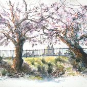 Veronika Doljenkova - “Spring in Central Park” – http://www.veronikadoljenkova.com/