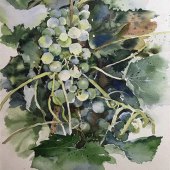 Moonjoo Lee - “Summer Garden” – https://www.instagram.com/moonjoos_garden/