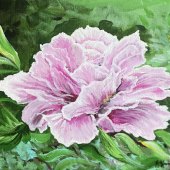 Rebecca Vernon - “Pretty Pink Peony” – rebecca111208@gmail.com
