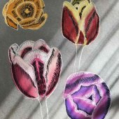 Penelope Murray - “Tulip Study” – penelope.murray1@gmail.com