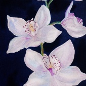 Wanying Pei - “Dancing Butterflies” – wanying.pei0920@gmail.com