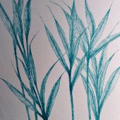 Katherine Pirrello - “Simple Beauty” – Kathyp1959@aol.com