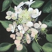 Marianne Stillwagon - “White Lace” – http://www.mstillwagon.faso.com/